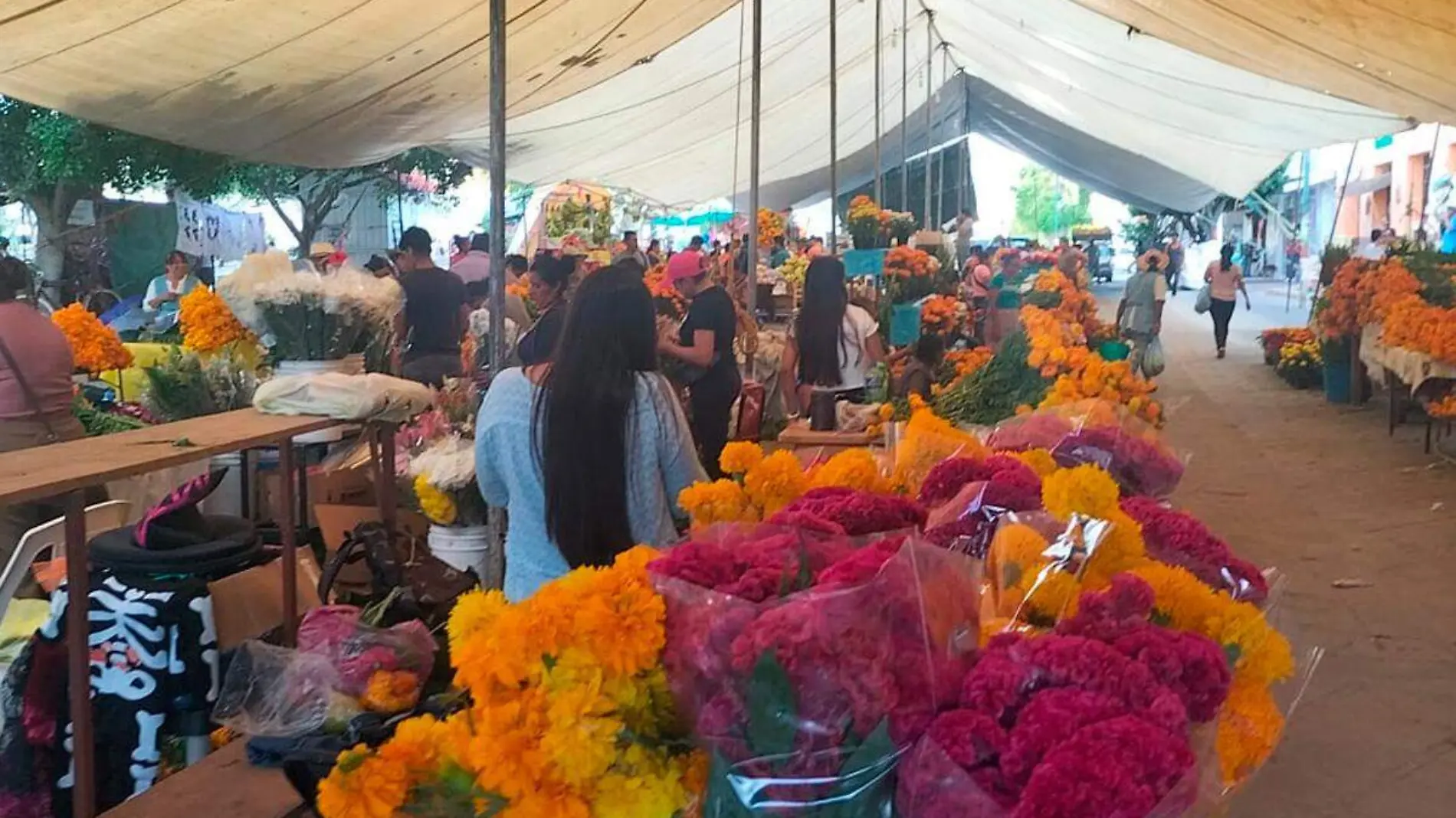 Dia de Muertos en Acatlan